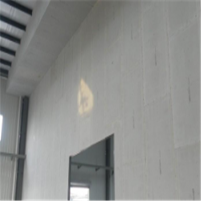 临颍宁波ALC板|EPS加气板隔墙与混凝土整浇联接的实验研讨
